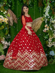 Red Bridal Lehenga Choli with Gold Embroidery