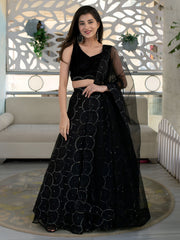 Black Embellished Lehenga Choli with Sheer Dupatta