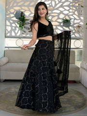 Black Embellished Lehenga Choli with Sheer Dupatta