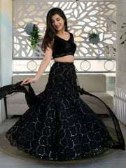 Black Embellished Lehenga Choli with Sheer Dupatta