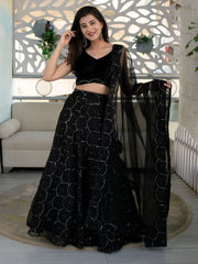 Black Embellished Lehenga Choli with Sheer Dupatta