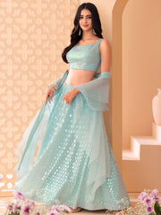Ice Blue Shimmer Embellished Lehenga Choli Set with Dupatta