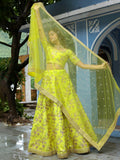 Neon Green Embroidered Lehenga Choli with Dupatta