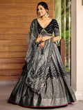 Black and Silver Chevron Lehenga Choli with Embellished Dupatta
