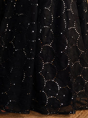Black Designer Lehenga Choli with Silver Sequin Work and Sheer Dupatta
