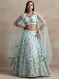 Pastel Mint Green Embroidered Bridal Lehenga Choli with Net Dupatta