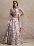 Blush Pink Heavy Embroidered Lehenga Choli with Net Dupatta