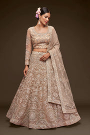 Champagne Beige Heavy Embroidered Bridal Lehenga Choli with Dupatta
