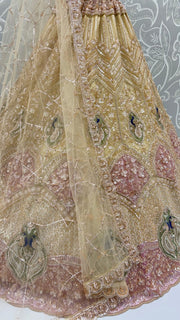 Beige Net Peacock Handwork Zari Sequin Lehenga Choli