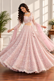 Blush Pink Net Lehenga with All-Over Elegant Embroidery