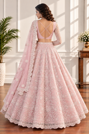 Blush Pink Net Lehenga with All-Over Elegant Embroidery
