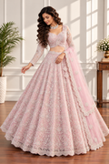 Blush Pink Net Lehenga with All-Over Elegant Embroidery
