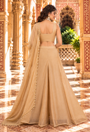 Champagne Salsa Silk Sharara Set with Bead, Sequin & Thread Embroidery