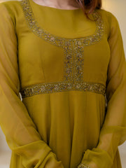 Olive Green Embroidered Anarkali Suit Set with Net Dupatta