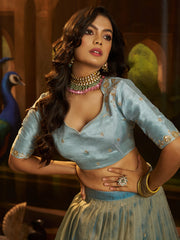 Dusty Embroidered Lehenga Choli with Dupatta