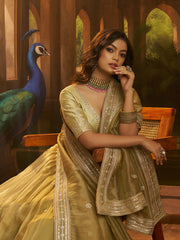 Crepe Zari Dori Sequin Lehenga Choli with Organza Dupatta