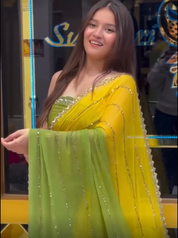 Beautiful Two-Shade Georgette Saree | Handwork Detailing