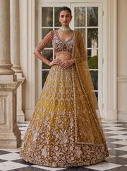 Gold Net Bead Motif Sequin Embroidered Lehenga Choli