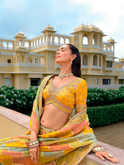 Olive Green Fancy Silk Mirror Sequin Embroidered Lehenga Choli
