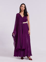 Wine Pure Organza Anarkali Gown