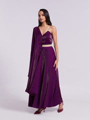 Wine Pure Organza Anarkali Gown