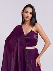 Wine Pure Organza Anarkali Gown