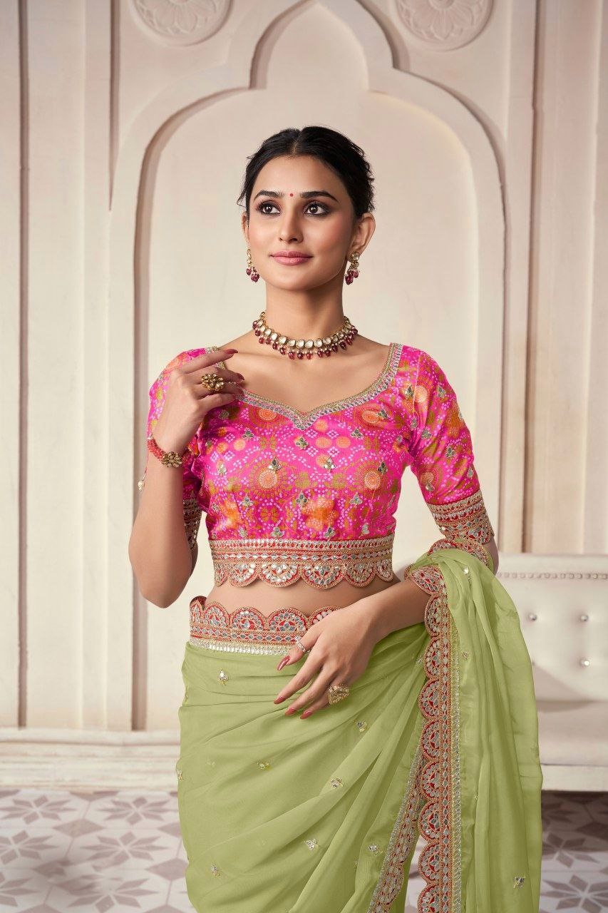 Elegant Green Organza Embroidered Saree